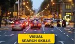 Visual Search Skills for Driving